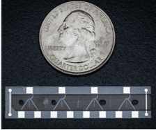 CBC electrochemical sensor strip shown next to a quarter for scale